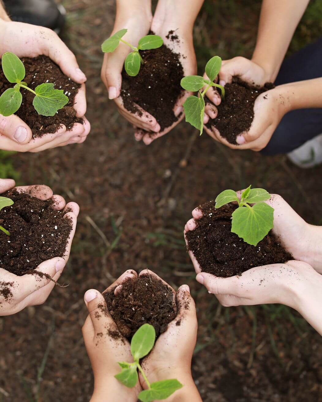 Kent der kigger ud af vinduet